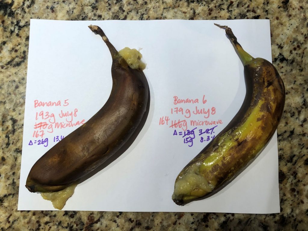 Greenish bananas after nuking in microwave