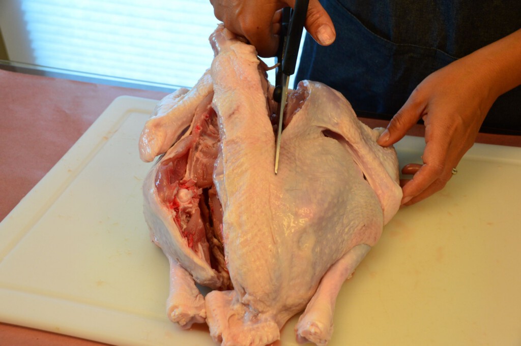 Cut turkey backbone out to spatchcock