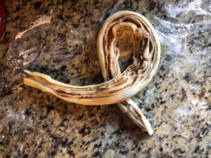 Cinnamon Almond Knotted Bread - Cross long U across short side