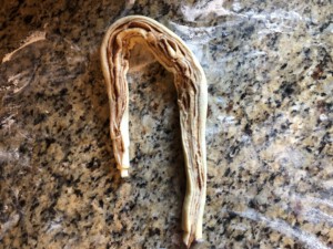 Cinnamon Almond Knotted Bread - Make a U Shape
